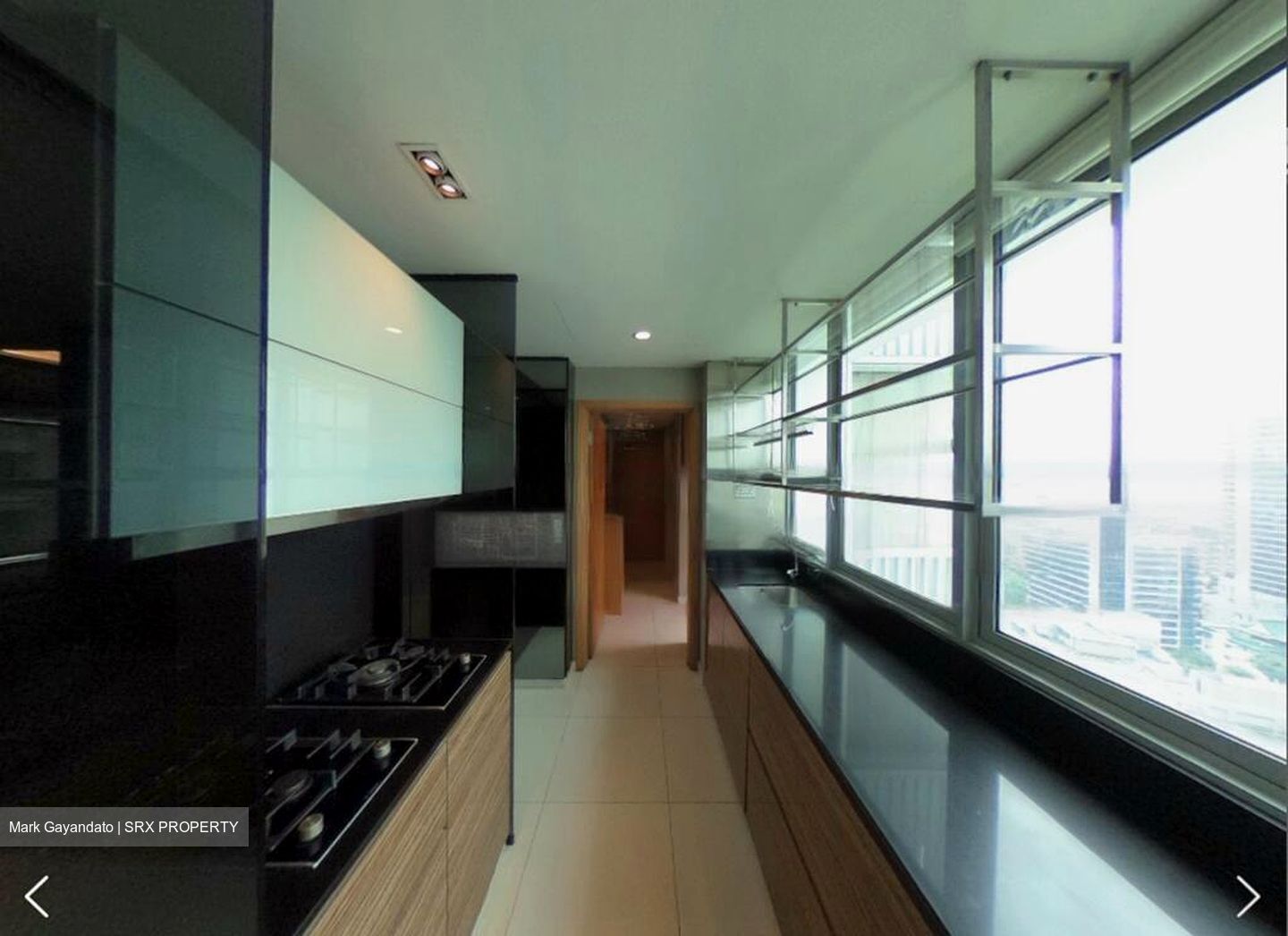 Pavilion 11 (D11), Condominium #459467911